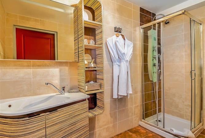 Bathroom with shower in the Prestige Suite - Hôtel Résidence